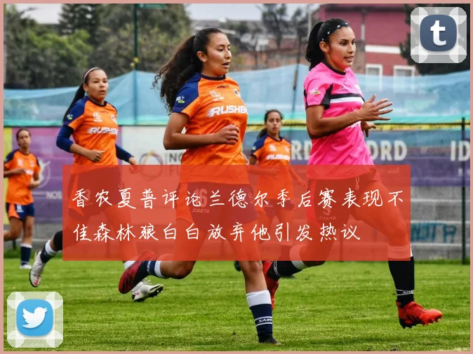 香农夏普评论兰德尔季后赛表现不佳森林狼白白放弃他引发热议